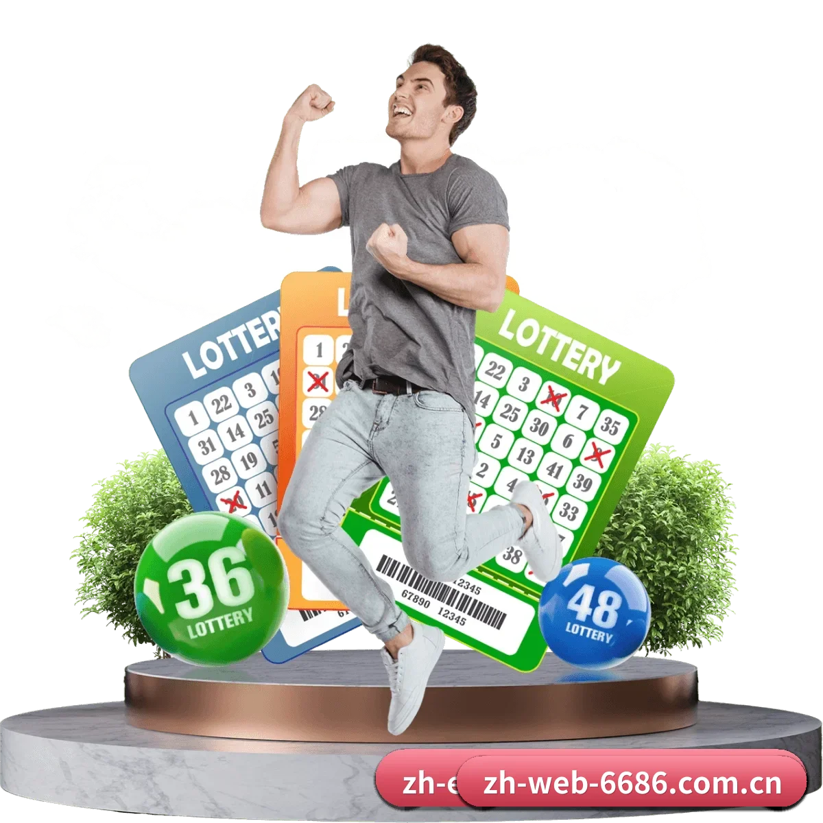 6686官网 APP